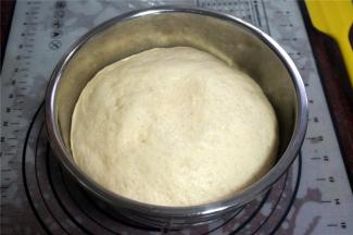 将面团揉圆，放入深盆里，盖上保鲜膜，放入烤箱发酵至两倍大。