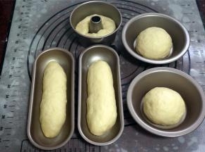 取两份分别揉圆，放入汉堡包坯模具中，然后取两份揉成长条状，放入热狗模具中，剩下一份揉成长条，放入4寸的不粘中空模具中。