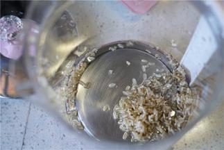 将泡洗好的糙米控水入养生壶。