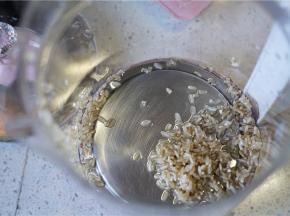 将泡洗好的糙米控水入养生壶。