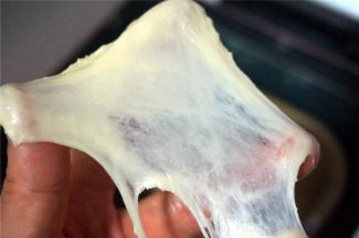 揉面程序结束，面团偏湿润，极容易拉出薄膜。