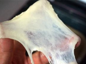 揉面程序结束，面团偏湿润，极容易拉出薄膜。