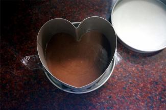 将拌好的黑巧克力慕斯液倒入到模具中，盖上顶盖，放入冰箱冷藏1个小时以上让其凝固，然后再继续做第二层的慕斯。