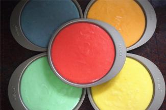 模具底部刷上一层烤盘油，然后倒入蛋糕糊，震荡出大气泡。