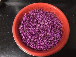 紫荆花摘洗干净后沥干水分。