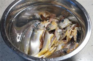 用细盐腌制小黄鱼半小时。