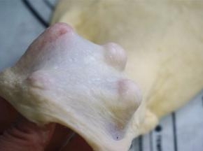 取出面团，检查筋性，能拉出薄膜即可。若仍然拉不出膜，可以撒上面团防粘，在硅胶垫上摔打增加筋性。