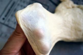 大概20分钟后，检查面团，能拉出粗糙的薄膜即可。做小面包对于膜的要求不高。