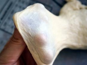 大概20分钟后，检查面团，能拉出粗糙的薄膜即可。做小面包对于膜的要求不高。