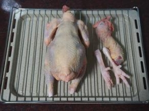 买只1.5~2斤的小母鸡，将鸡处理干净后，去掉内脏、头和鸡爪，沥干水备用。