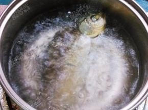水沸腾后放入鲫鱼