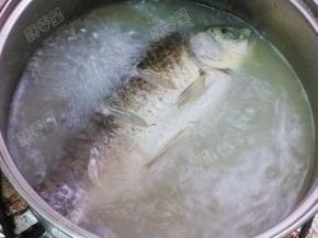 将鱼汤炖煮至颜色发白