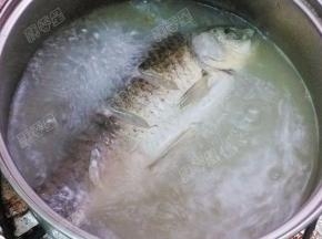将鱼汤炖煮至颜色发白