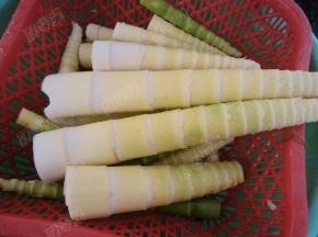 春笋剥去外壳