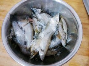 处理干净的小鱼加入盐腌制十分钟