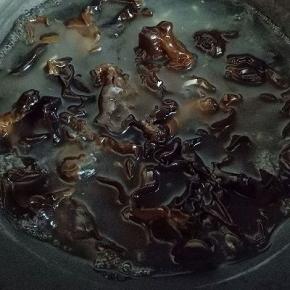 木耳焯水2_3分钟，不要煮太久，免得失去木耳的清脆感。