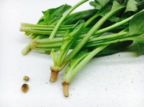 把菠菜掰成一根一根的。