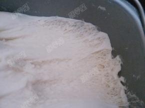 发酵至两倍大小