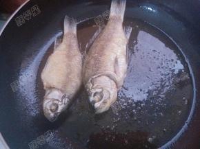 将鲫鱼两面煎至金黄