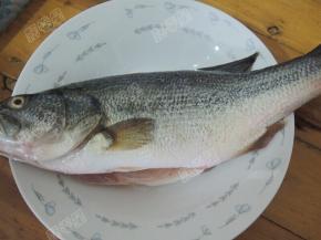 鲈鱼清洗干净，抹少量盐加生姜、料酒腌渍15分钟