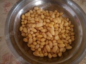 黄豆加水浸泡一夜