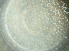 一直开大火煮，西米在锅中翻滚，才不会粘锅，大约煮15到20分钟 ，煮到西米中心剩一点白心关火，焖几分钟，直到白心完全没有。