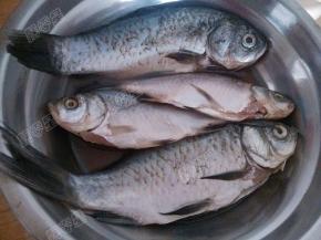 鲫鱼收拾干净后用用料酒和盐腌制十五分钟