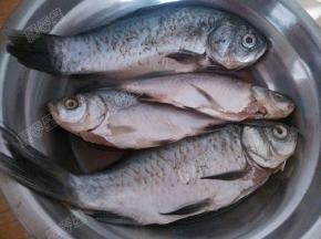 鲫鱼收拾干净后用用料酒和盐腌制十五分钟