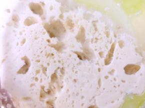 发酵好的酵头，碗底能看到很多像蜂巢的洞洞，打开盖子有一点点的酸味即可，发酵时间不易过长，最多放置16个小时