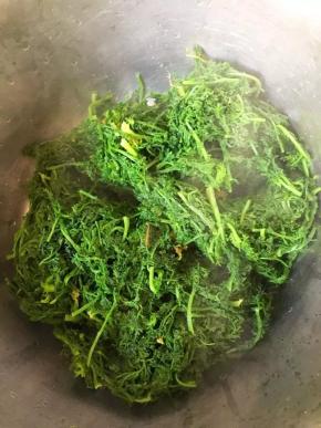 锅中烧开水，倒入米米蒿汆烫变软后捞出，稍凉后用手挤压出水分