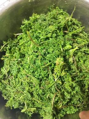 米米蒿去根去老叶洗净