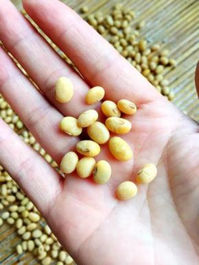 3、晾至表面出现褶皱时就好了