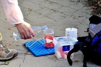 将西柚西红柿黄金梨放在随身杯中，加入适量矿泉水。