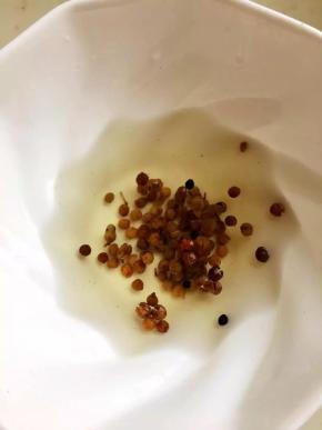花椒一小把用温水泡成花椒水待用