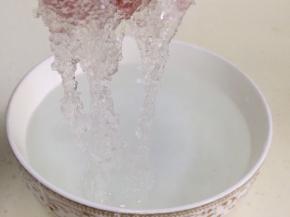 把雪燕杂质挑出来，用清水冲洗干净。