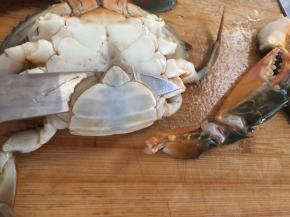 雌蟹也是一样，然后用小刀捅死