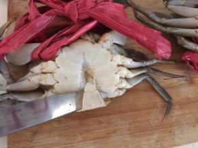 然后用小刀在蟹的底部撬开