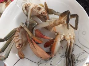 将煎好的蟹盛起装盘备用