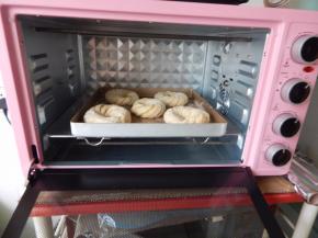 九阳烤箱中间层