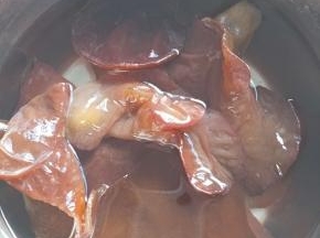 木耳提前泡发