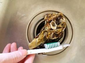 1、把每个海蛎子用刷子刷洗干净表面