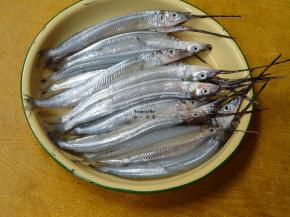 池鱼洗净，去内脏，盐、白酒腌制10分钟；