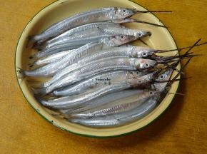 池鱼洗净，去内脏，盐、白酒腌制10分钟；