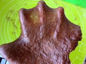 活好的面团倒在揉面垫上，一直向前推揉，大约推揉20分钟，面团出现扩展状态，加入黄油，再揉几分钟，就可以出手套膜啦，不用出的太薄，能撑开就可以