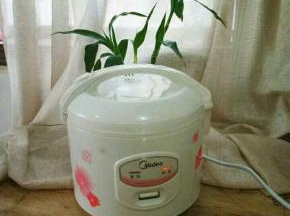 打电饭锅底部抹上一层油，通上电源，预热2分钟。