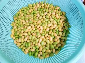 捞出过一遍冷水。