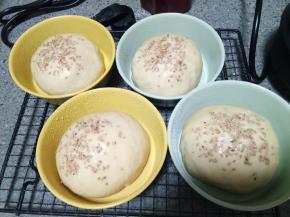 再发酵至两倍大，胚子表面喷水，撒白芝麻