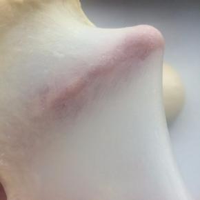 揉至完全阶段，面筋要有韧性