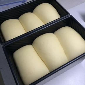 发至9成满，取出，烤箱200度预热（这个步骤忘拍图了，用一张以前的图示意一下）