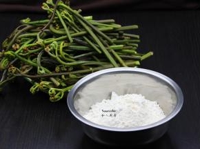 准备好新鲜的蕨菜洗净，裹炸粉；